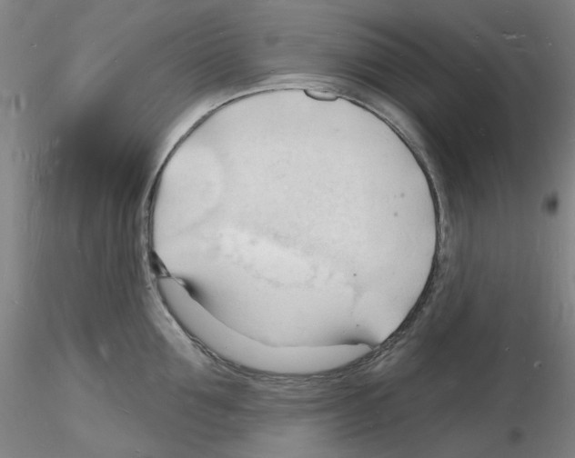 X0000116130907201001041009
