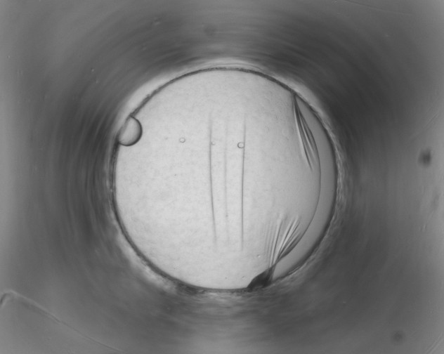 X0000116130910201001041009