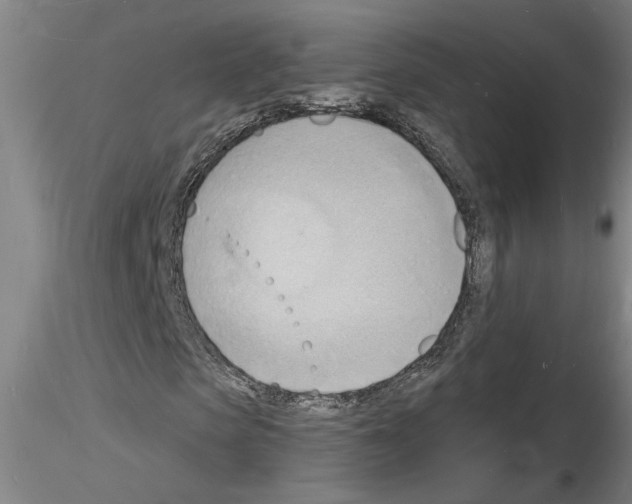 X0000116130913201001041008