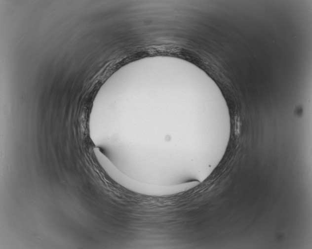 X0000116130915201001041008