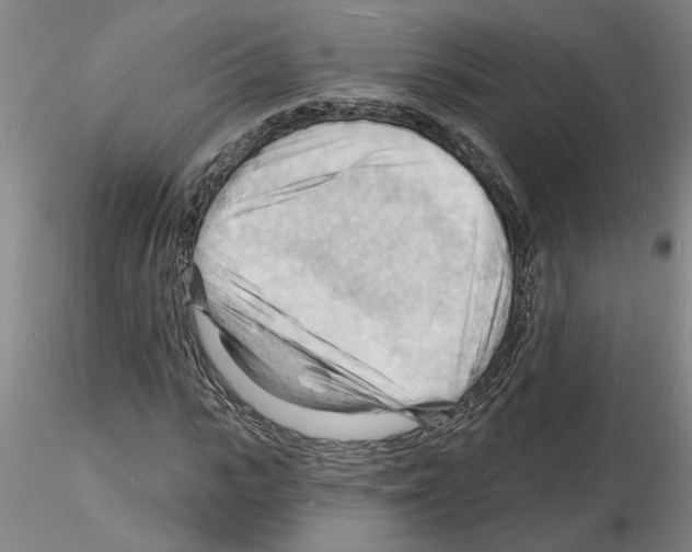X0000116130919201001041008