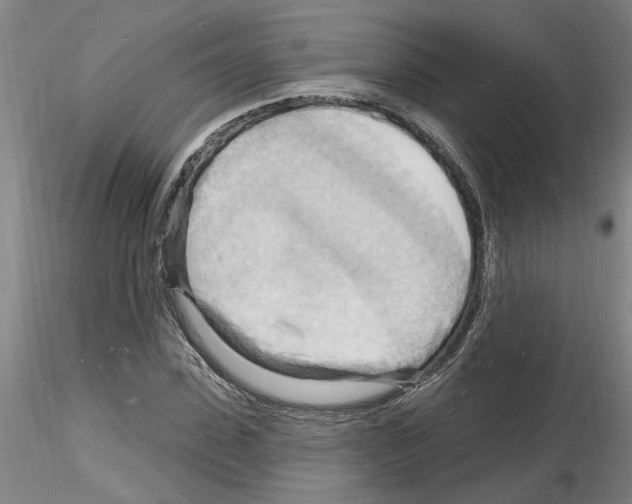 X0000116130923201001041008