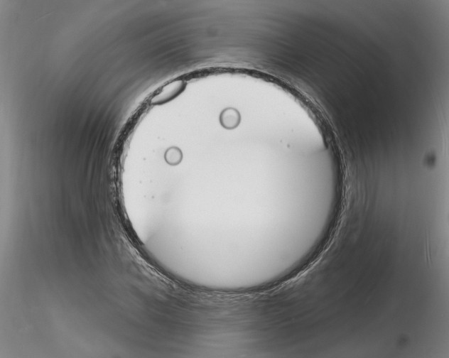 X0000116130926201001041008