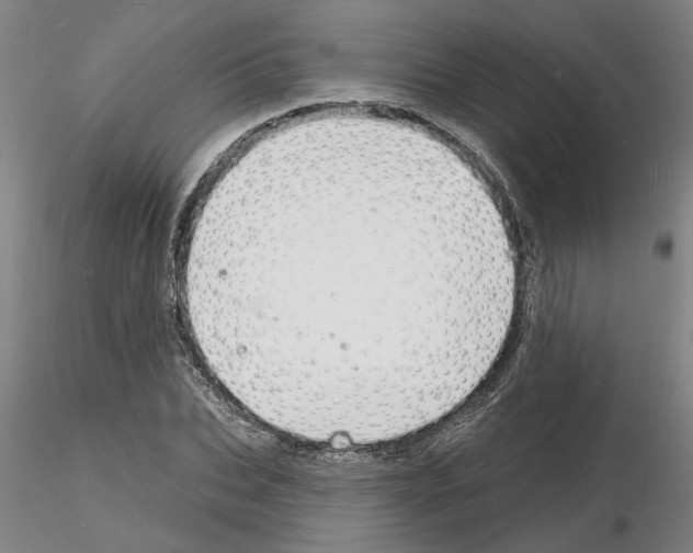 X0000116130927201001041008