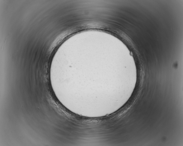 X0000116130930201001041008