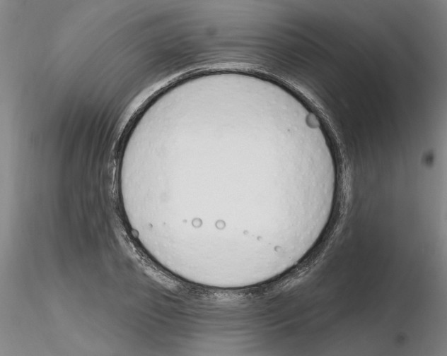 X0000116130933201001041008
