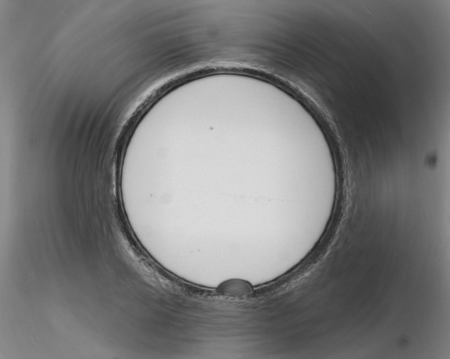 X0000116130934201001041008