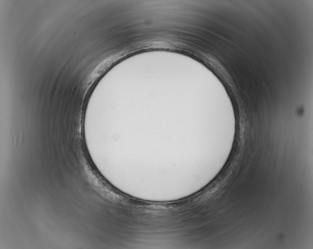 X0000116130938201001041008