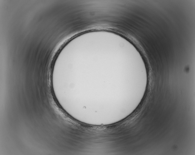 X0000116130939201001041008