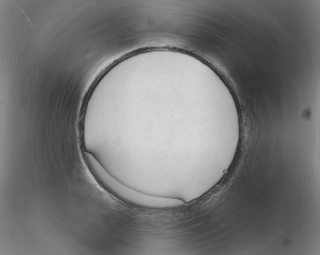 X0000116130943201001041008