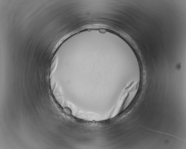 X0000116130945201001041008