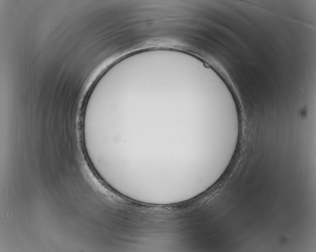 X0000116130947201001041008