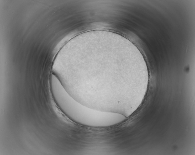 X0000116130954201001041009