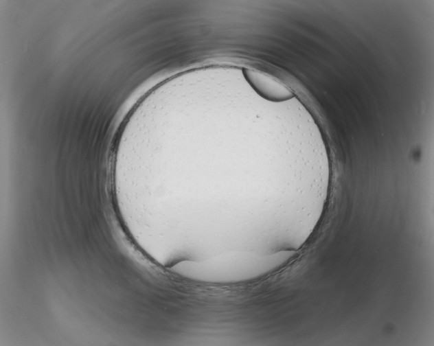 X0000116130955201001041009