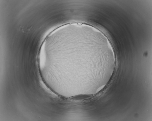 X0000116130958201001041009