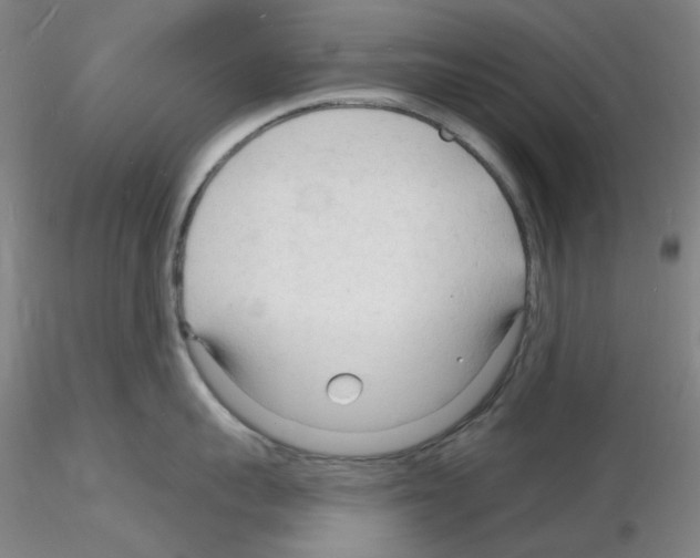 X0000116130959201001041009