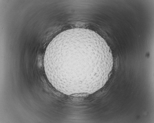 X0000116130962201001041008