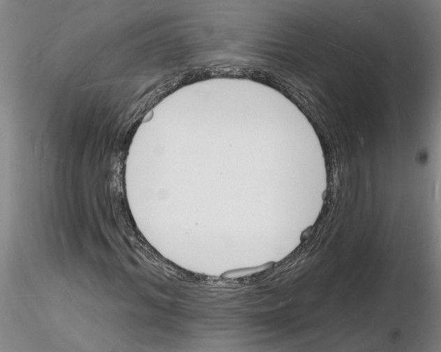 X0000116130964201001041008