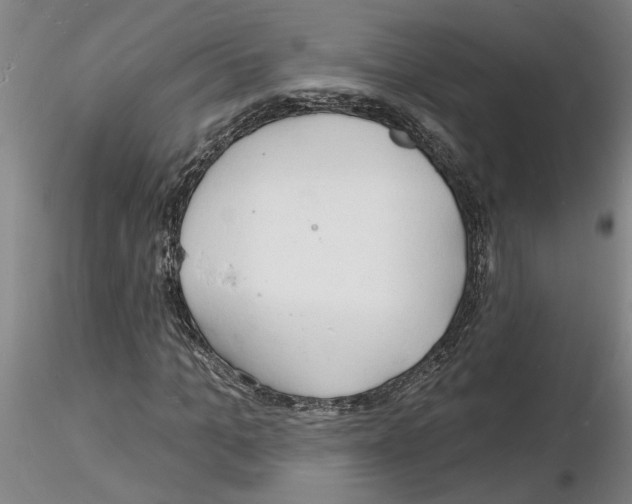 X0000116130965201001041008
