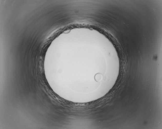 X0000116130968201001041008