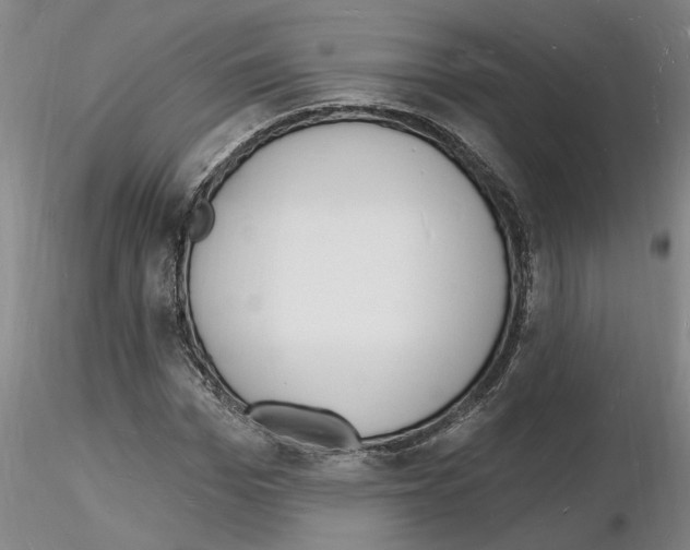 X0000116130969201001041008