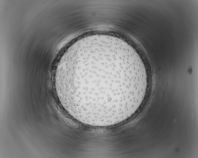 X0000116130970201001041008