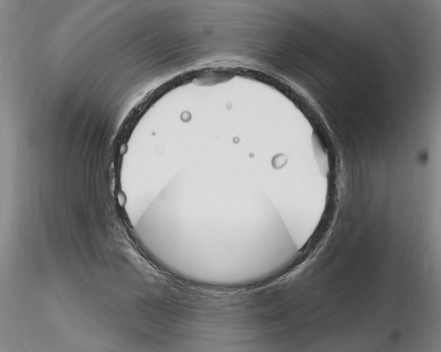 X0000116130973201001041008