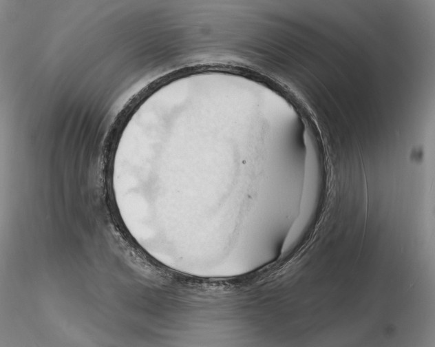 X0000116130975201001041008