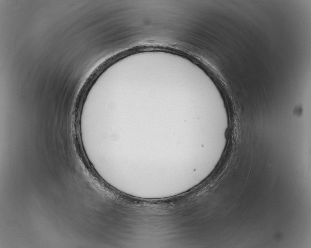 X0000116130976201001041008