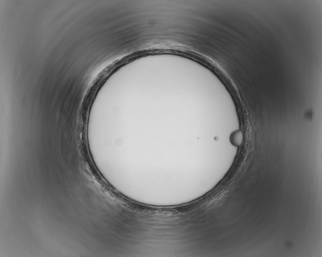 X0000116130979201001041008