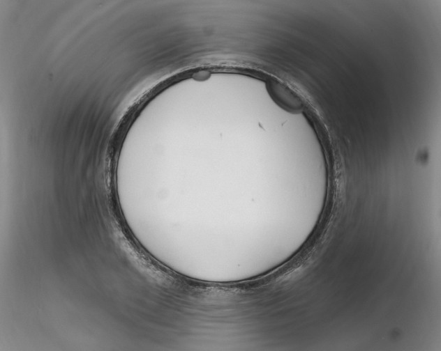 X0000116130981201001041008