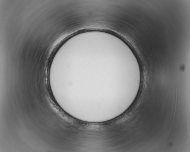 X0000116130982201001041008