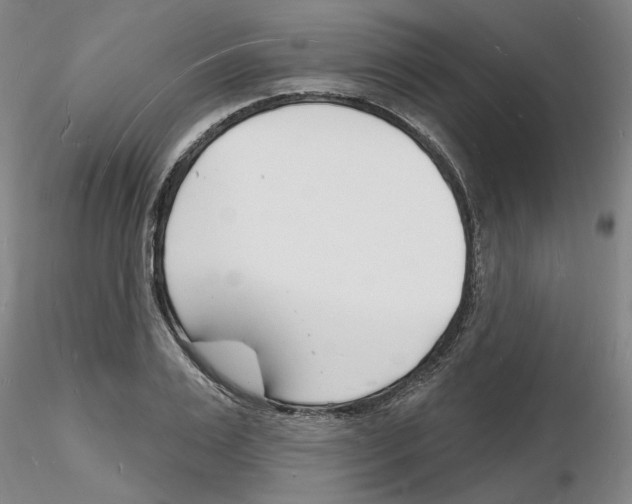 X0000116130983201001041008