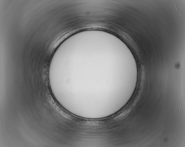X0000116130985201001041008