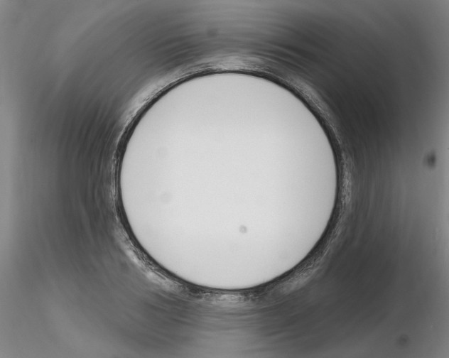 X0000116130986201001041008