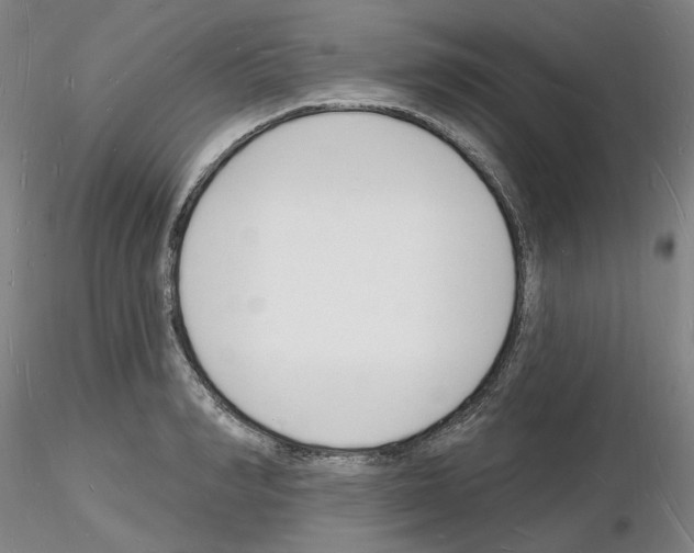 X0000116130990201001041008