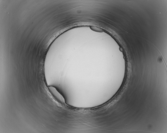 X0000116130993201001041008