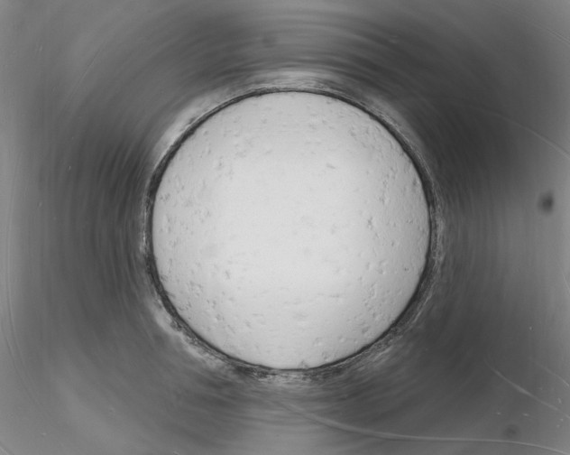 X0000116130994201001041008