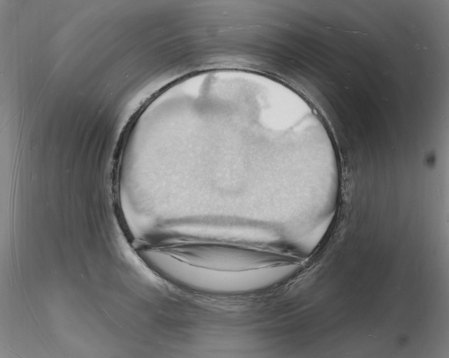 X0000116130995201001041008