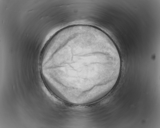 X0000116130998201001041008