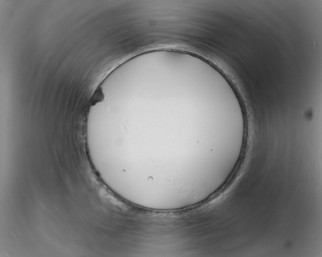 X0000116131001201001041007