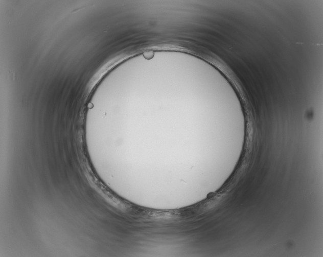 X0000116131002201001041007