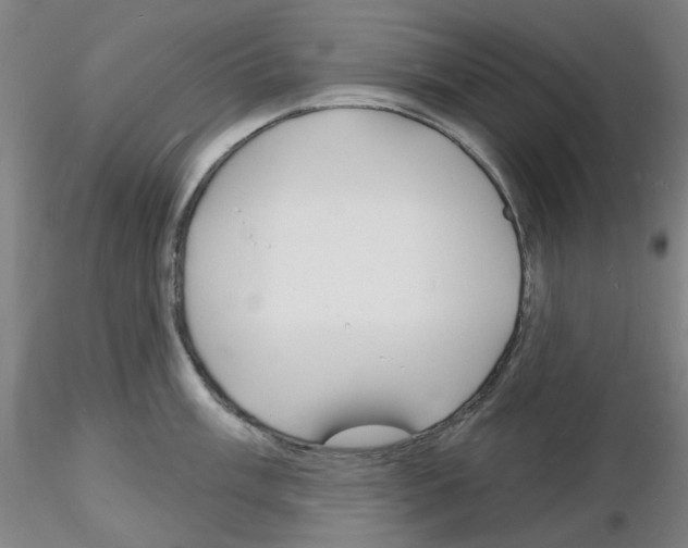 X0000116131003201001041007