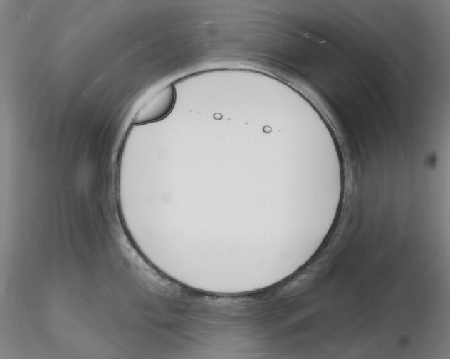 X0000116131004201001041007