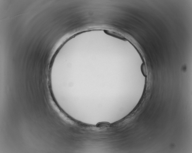 X0000116131005201001041007