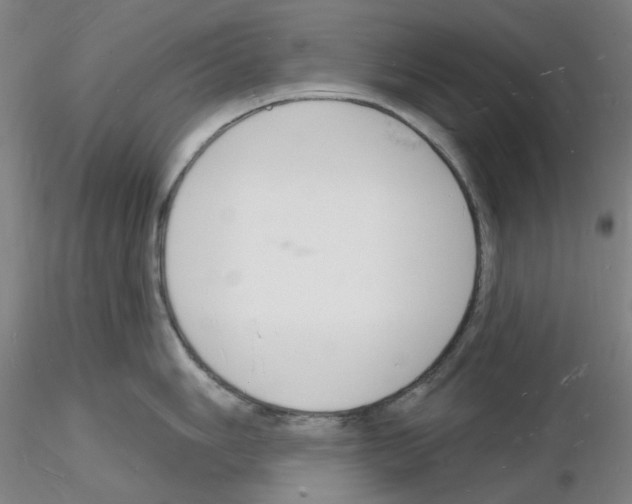 X0000116131006201001041007