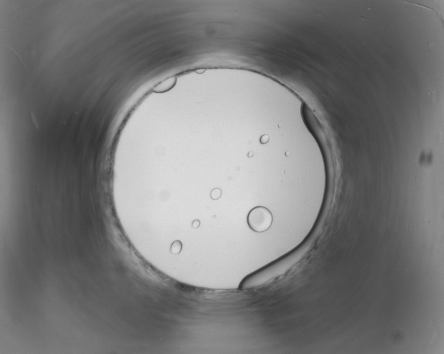 X0000116131008201001041007
