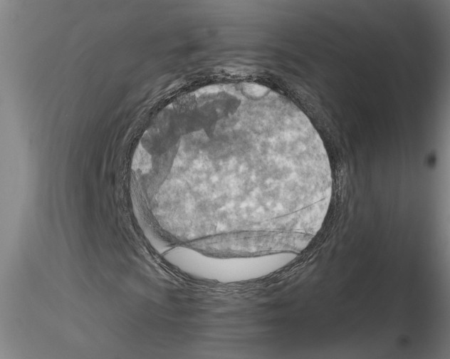 X0000116131009201001041007