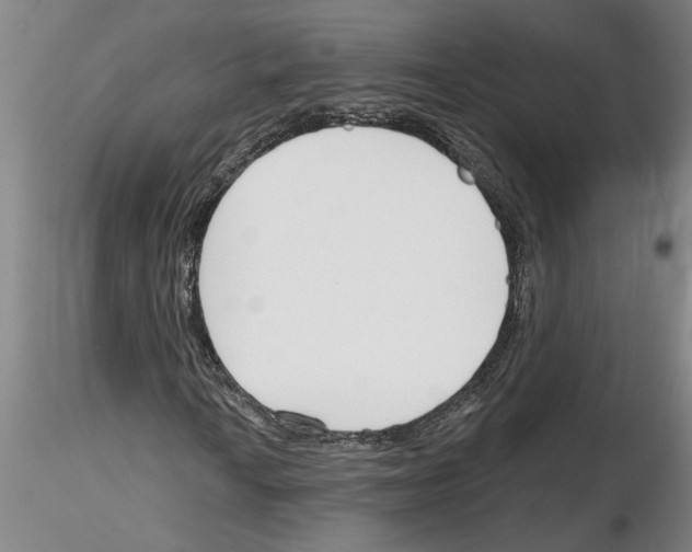 X0000116131010201001041007