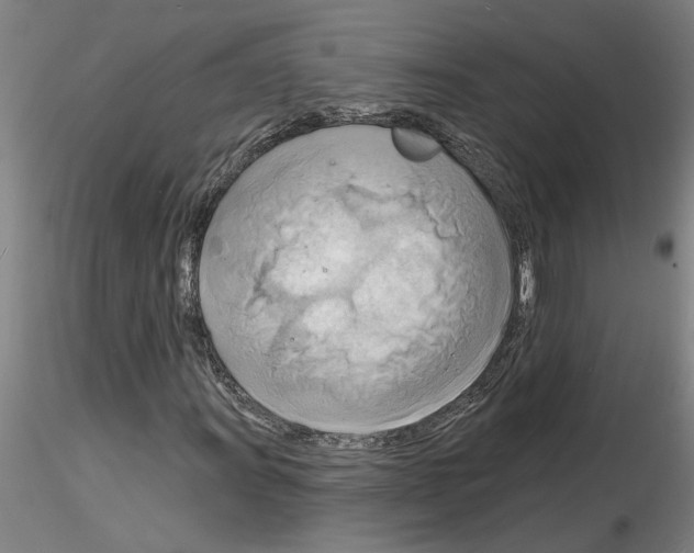 X0000116131011201001041007